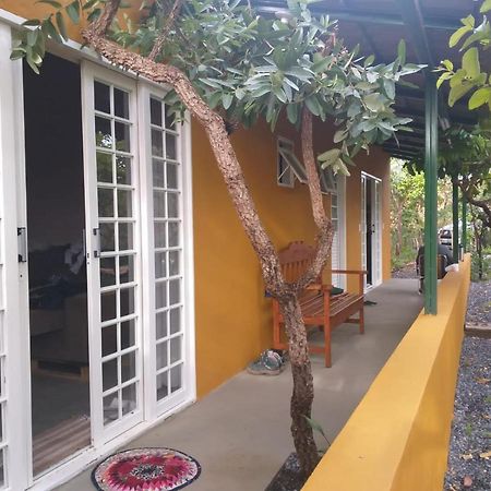 Jardim Da Lila - Um Recanto De Paz Em Alto Paraiso Alto Paraíso de Goiás Exteriör bild